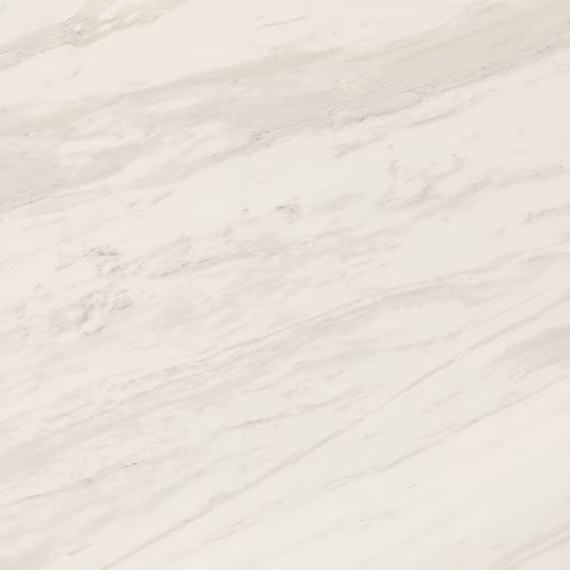 cq5dam.web.570.570 (55)