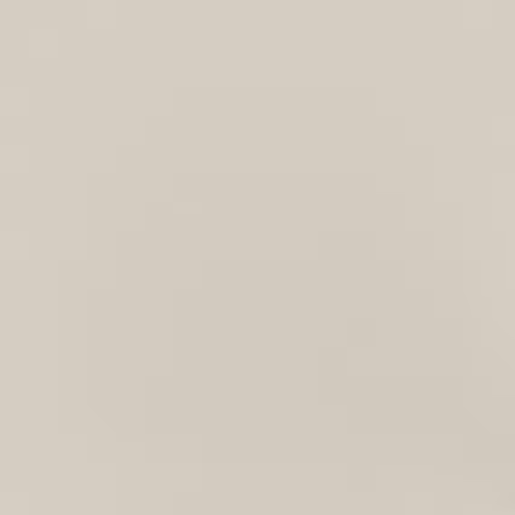 cq5dam.web.570.570 (68)