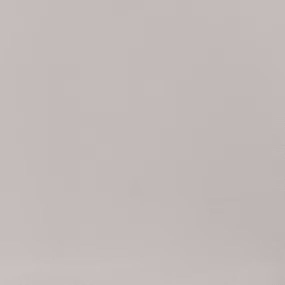 cq5dam.web.570.570 (71)