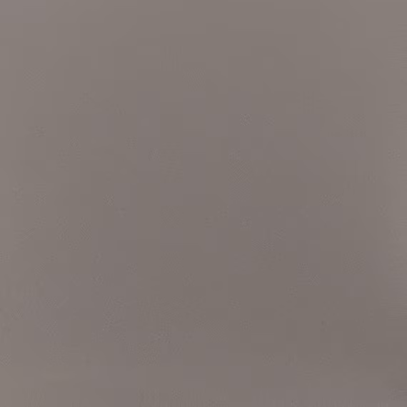 cq5dam.web.570.570 (72)