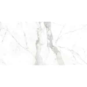tarya2448wh_1m