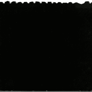 Brazilian Black
