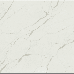 Calacatta Tree Quartz